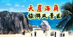 橾逼视频链接海南三亚-天崖海角旅游风景区