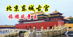 草女人骚逼中国北京-东城古宫旅游风景区